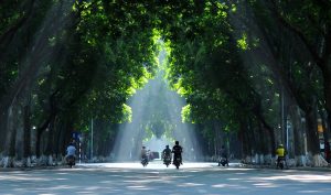 Romantic Streets Of Hanoi