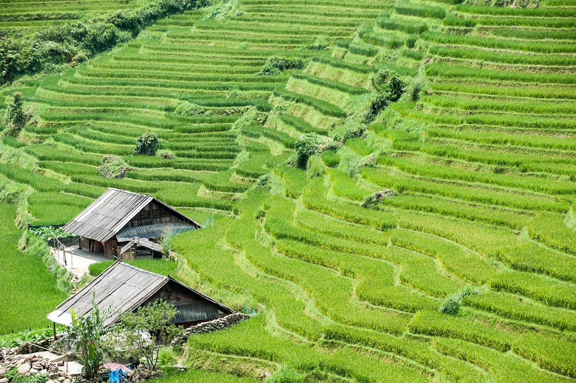 15 Amazing Shoots Prove the Beauty Of Vietnam
