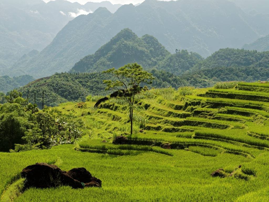 6 Emerging Destinations In Vietnam