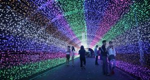 Saigon Zoo Hosts LJ International Lighting Festival