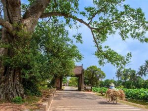 Full-Day Hanoi Jeep Tour Exploring Duong Lam Ancient Village