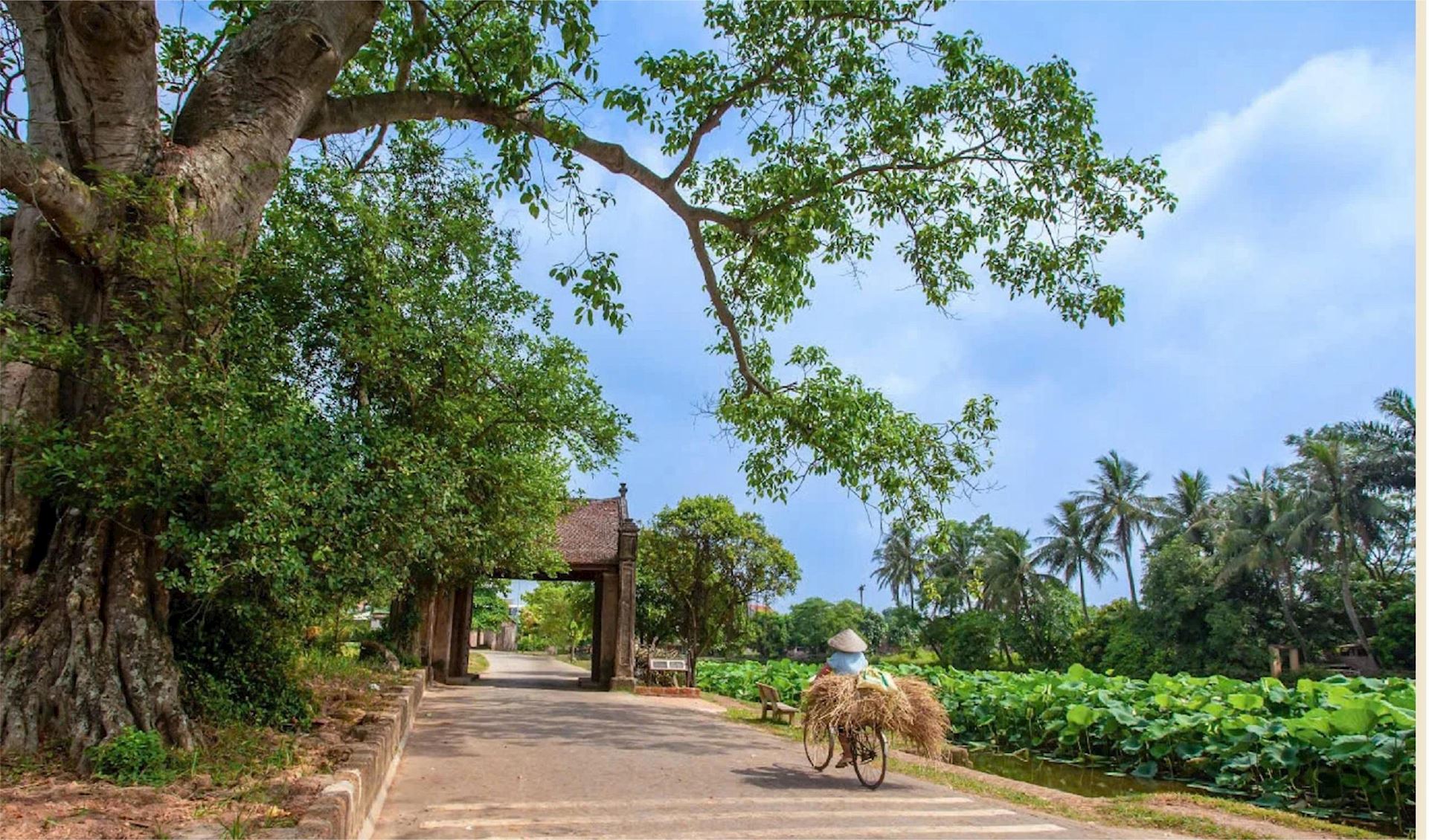 Full-Day Hanoi Jeep Tour Exploring Duong Lam Ancient Village
